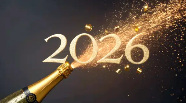 fireworks-10002349_640